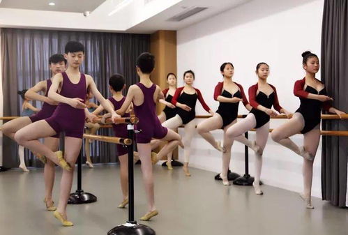 新鄭市專業(yè)一流的舞蹈培訓(xùn)來啦 9.9元體驗課，師資、環(huán)境、價格全面開掛