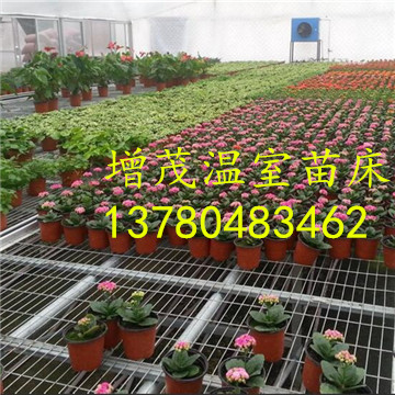 溫室<a href='/' target='_blank'><a href='http://www.kookla.cn/miaochuangsheshi/203.html'target='_blank'>花架網(wǎng)</a></a>廠家